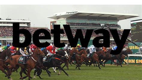 Betway lands new CEO .